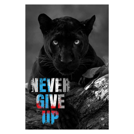 Never Give Up