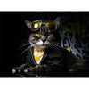 Funky Cat Canvas 