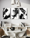 Noir Blanc Set of 3 Wall Art - Blanq Canvas