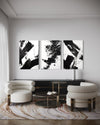 Noir Blanc Set of 3 Wall Art - Blanq Canvas