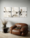 Silver Clouds Set Of 3 Wall Art 