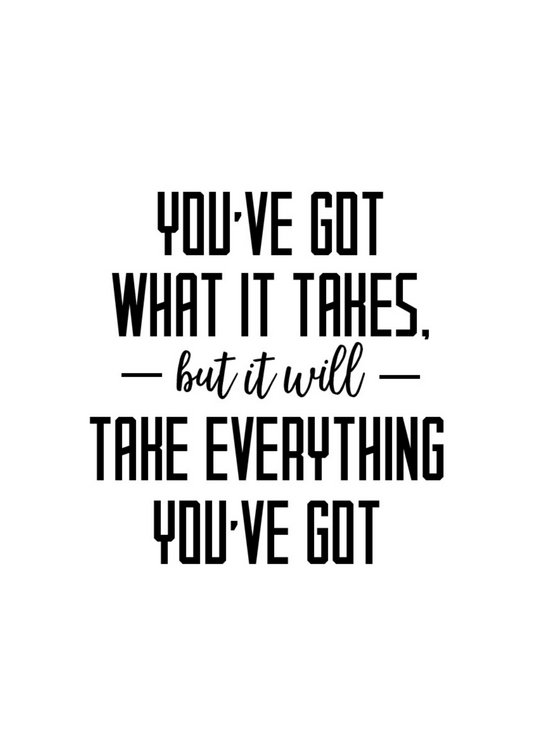 TAKE EVERYTHING YOU'VE GOT